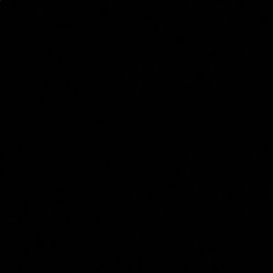 Meet your Posher, Aleah